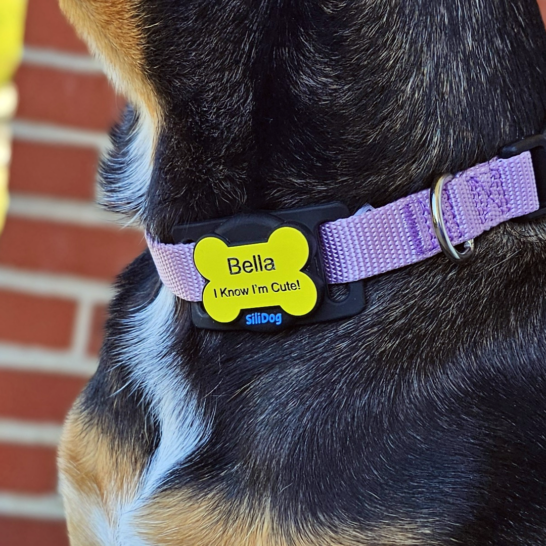 SiliSlider – Tracking-Compatible Slide-On Tag