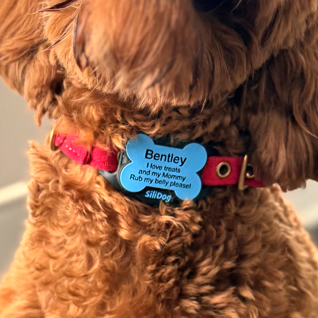 SiliSlider – Tracking-Compatible Slide-On Tag