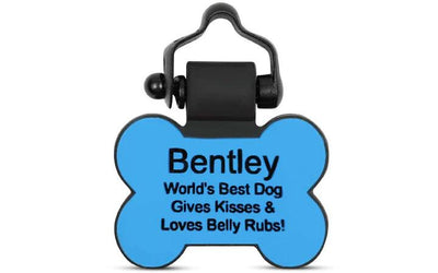 SiliDog Pet Tag