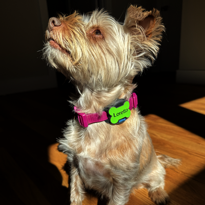 SiliSlider – Tracking-Compatible Slide-On Tag