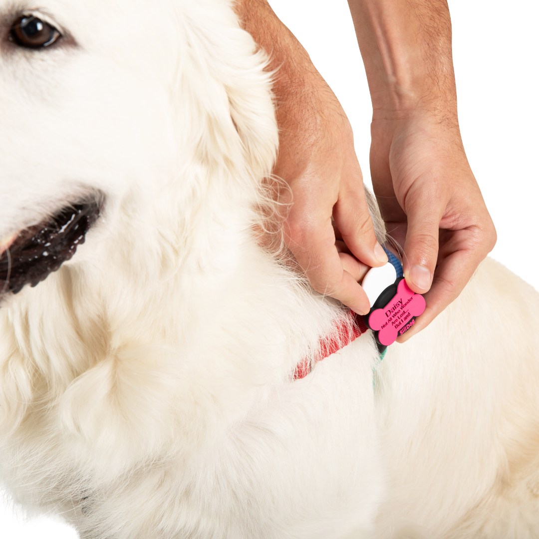 Pink SmartTag -AirTag Compatible-
