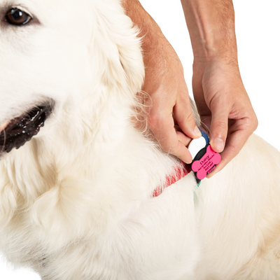 Pink SmartTag -AirTag Compatible-