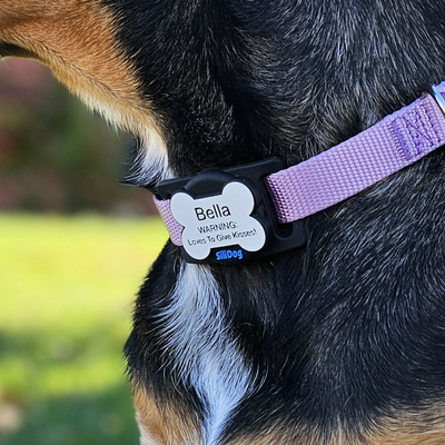 SiliSlider – Tracking-Compatible Slide-On Tag