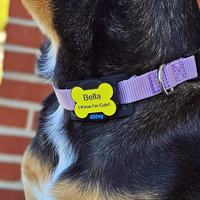 SiliSlider – Tracking-Compatible Slide-On Tag