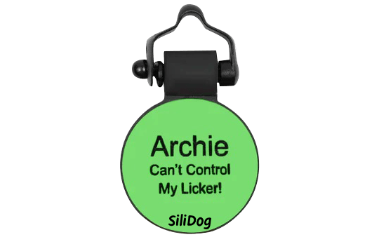 Green DragonFly - SiliDog - The Silent Pet Tag