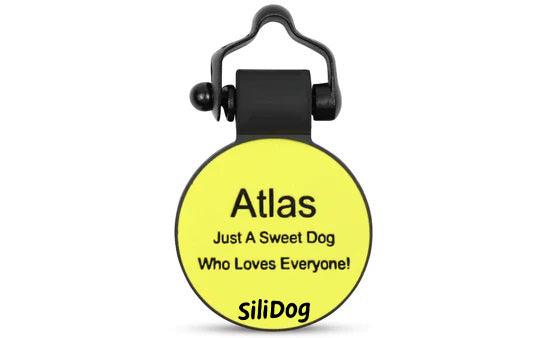 Yellow Tennis Ball - SiliDog - The Silent Pet Tag