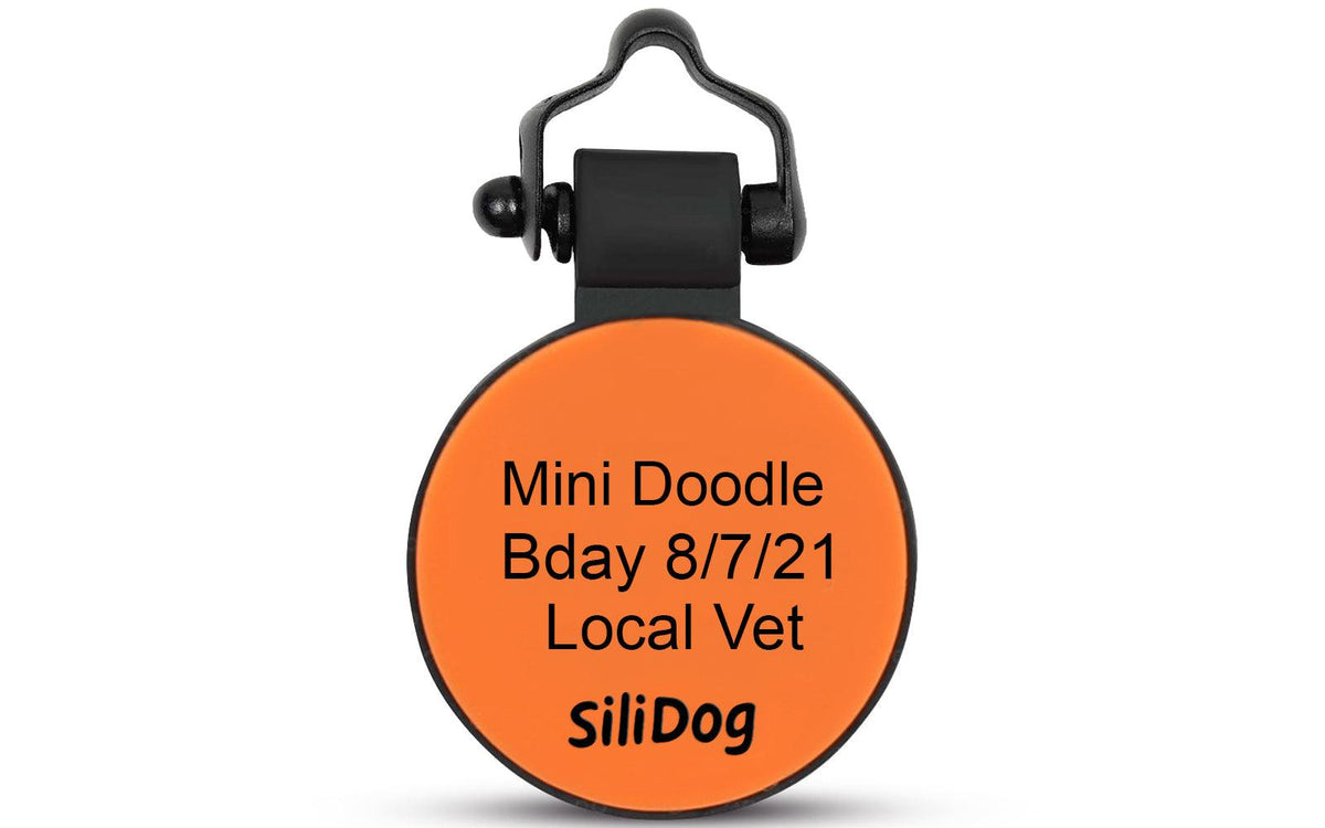 Orange MiniTag - SiliDog - The Silent Pet Tag