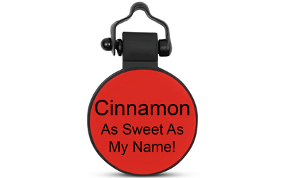Red MiniTag - SiliDog - The Silent Pet Tag