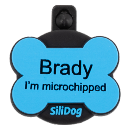 Smart Tags